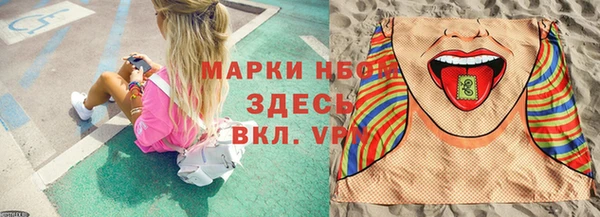 шишки Ростов