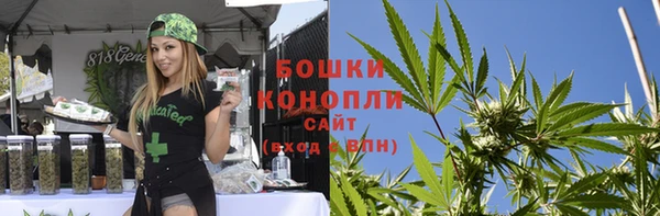 шишки Ростов