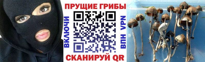 Псилоцибиновые грибы прущие грибы  Исилькуль 